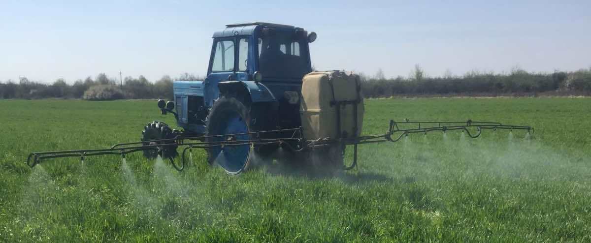 Внесення гебріциду  на площі озимих зернових культур - надійний захист посівів